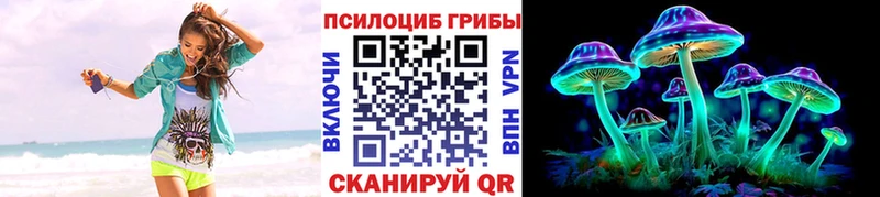 Купить закладки  Пучеж  Галлюциногенные грибы Magic Shrooms 