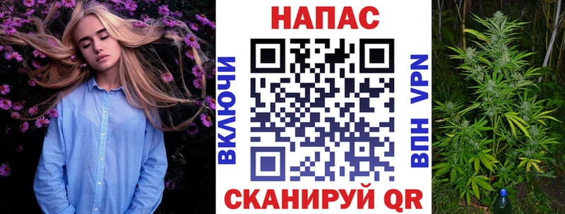Бошки Шишки SATIVA & INDICA  Купить закладки  Пучеж 